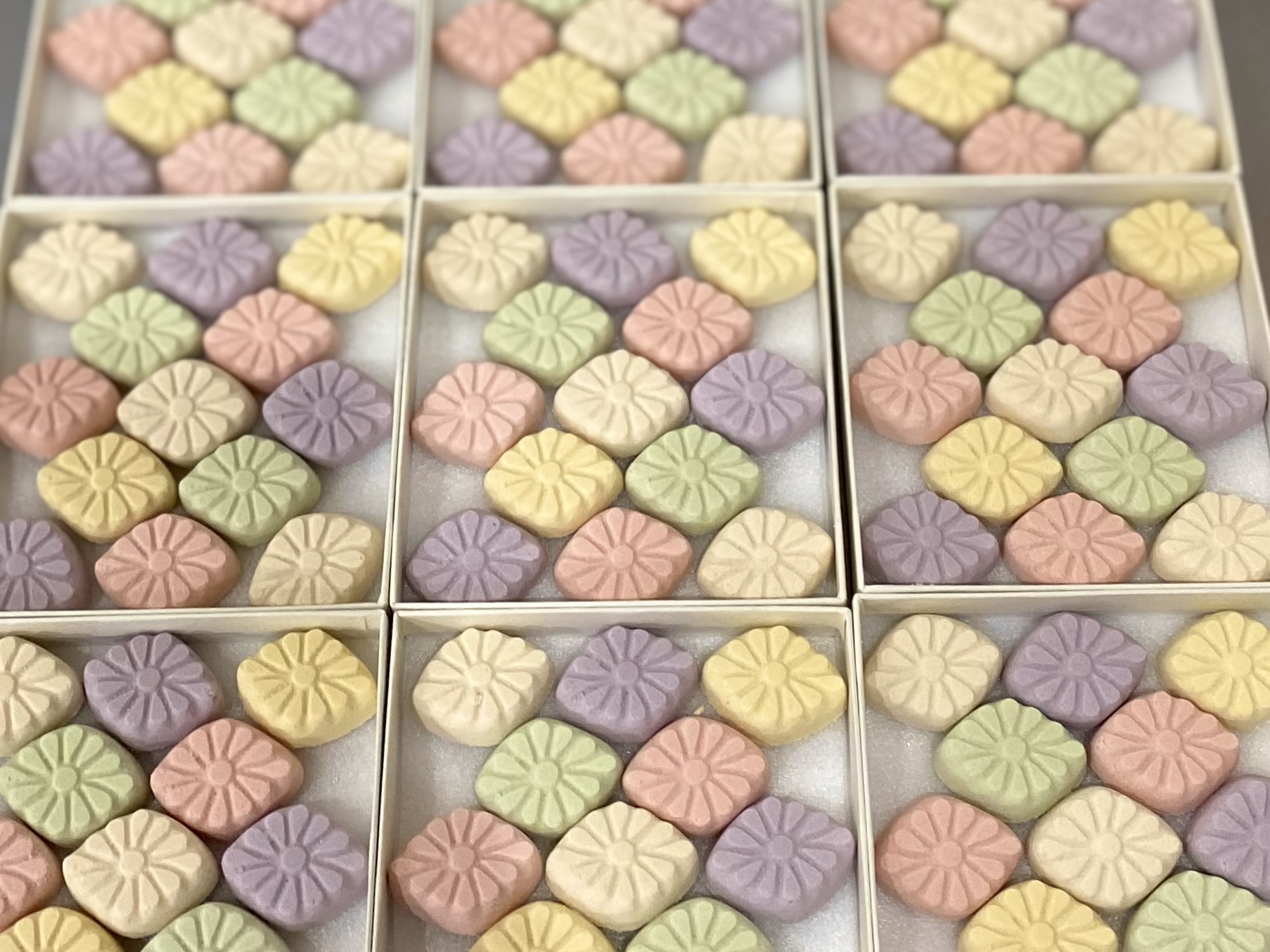 季節商品「彩菊」9月より順次発送 - 画像 (3)